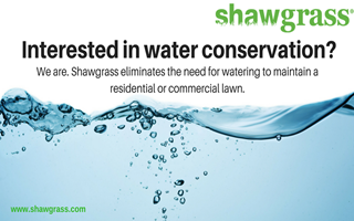 3 Simple Ways to Reduce Your Household Water Consumption